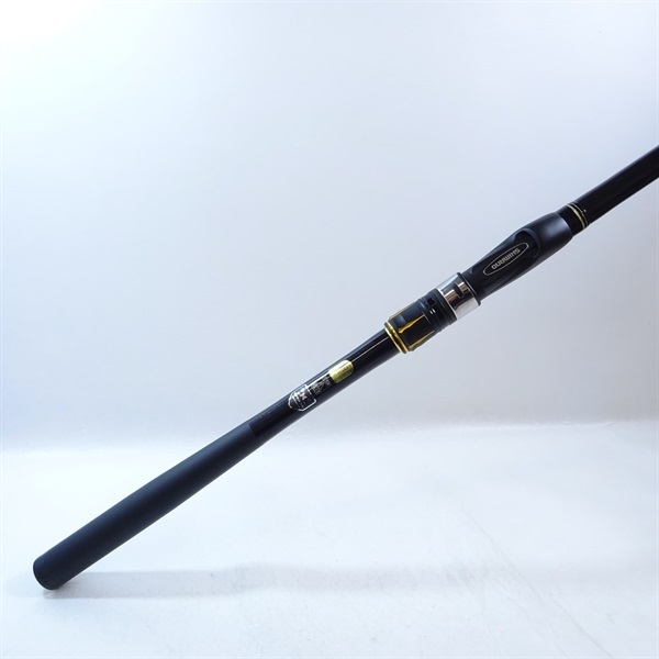 ２１アオリスタ５００